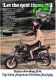 Harley 1973 087.jpg
